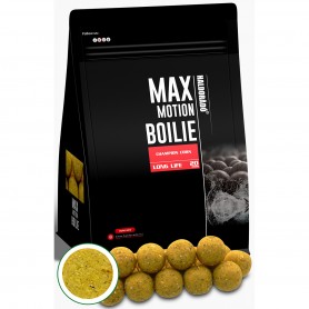 Haldorádó Max Motion Boilie Long Life 20mm - Champion Corn